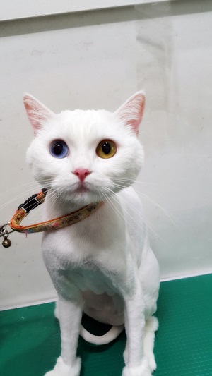 10153d3ca7bbf32e7babbb412b4d55f3.jpg