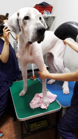 749d14f80229c663c83b6575214d0d8c.jpg