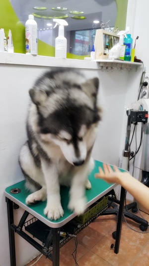 d335e874eb6c34b7172b665b7b6a27e9.jpg
