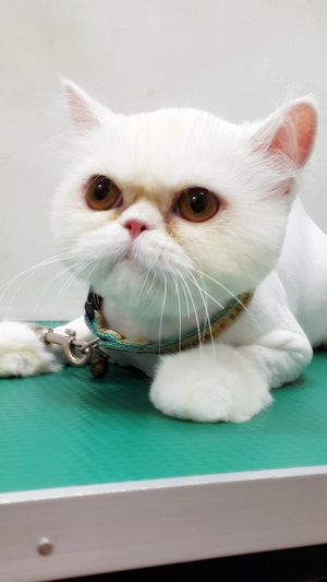 dce458ec248aa7d85a9d9a7632d86cbd.jpg